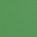 Color Chip - Green