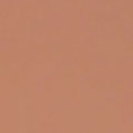 Color Chip - Light Skin