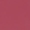 Color Chip - Red