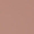 Color Chip - Light Skin