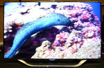 Samsung UNES8000