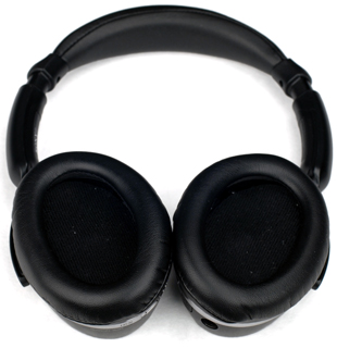 Speaker Image