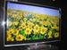 Sharp LC-68LE920UN