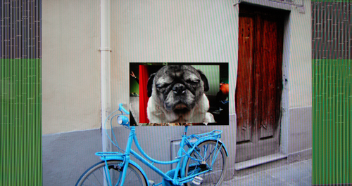 Local Media Playback 1 Photo