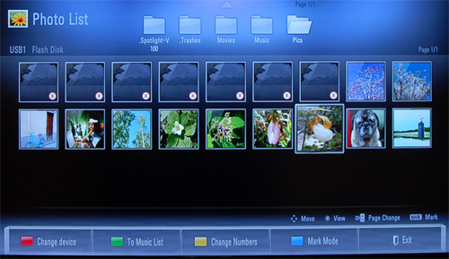 Local Media Playback 1 Photo