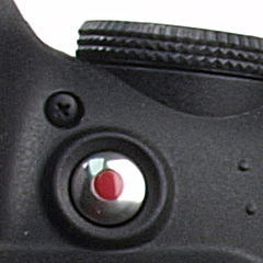 Buttons Photo 2