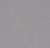 3000 Lux Noise Comp - ISO 400