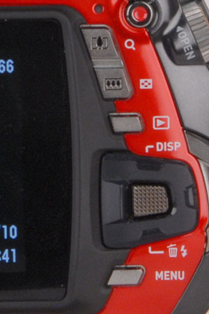 Buttons Photo 1