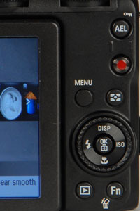 Buttons Photo 2