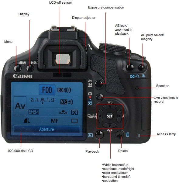 canon rebel xs sample pictures. canon rebel t1i sample.