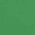 Color Chip - Green