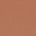 Color Chip - Light Skin