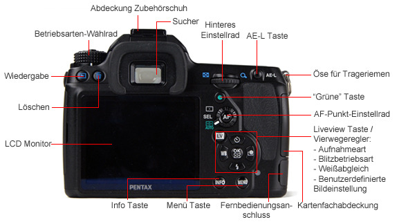 Back Tour Image